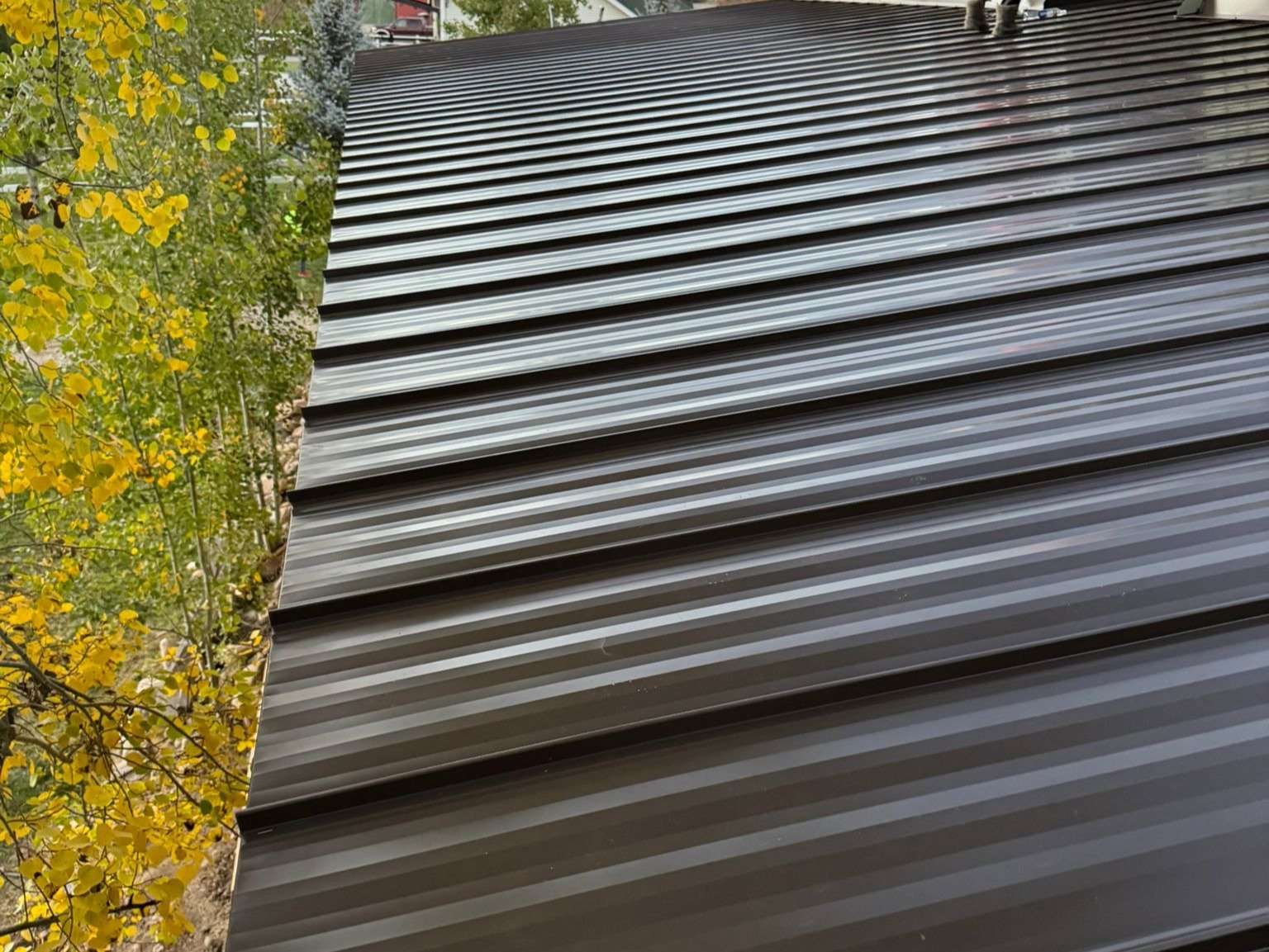 Lone Star Restoration & Roofing LLC